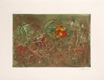 Wild Garden VI